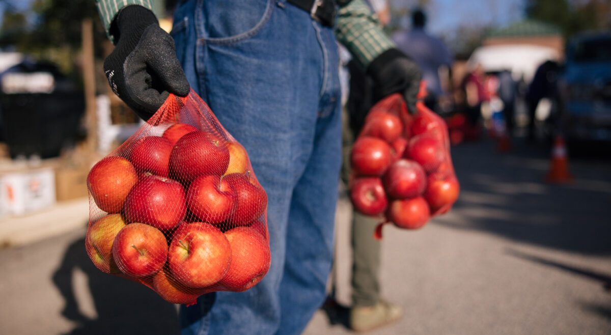 Photo of person holding bags of red apples