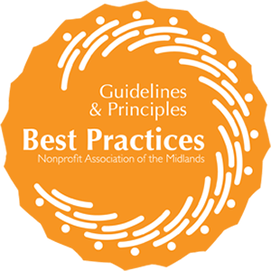 Guidlines & Principles Best Practices